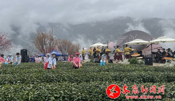 记者带你“云”体验  “春之茶”第四届2021安康（紫阳）富硒茶开园节